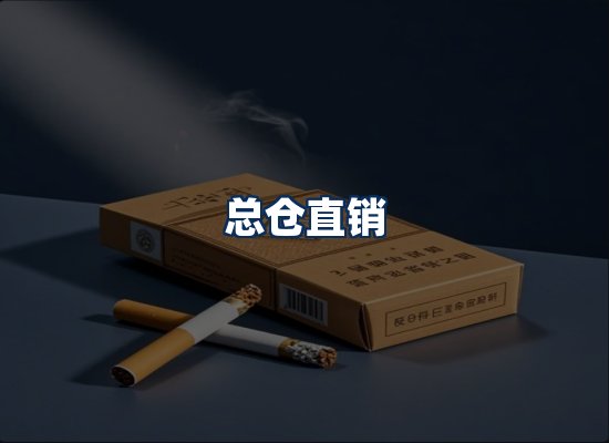 专业团队办公环境